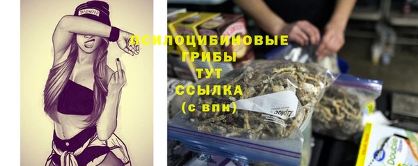 спиды Алзамай