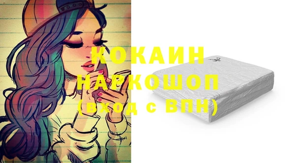 спиды Алзамай