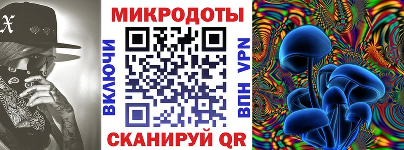 Галлюциногенные грибы ЛСД  Северская 