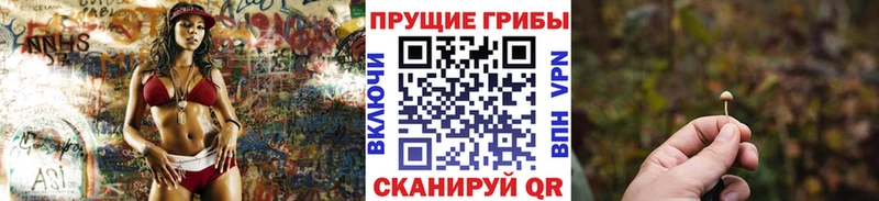 Псилоцибиновые грибы мухоморы Северская